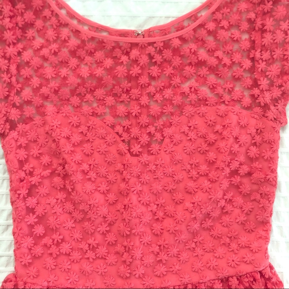 Anthropologie NM Artelier embroidered mesh dress🍉 - Picture 5 of 10